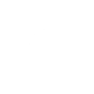 sted-council-certified_best-freelance-digital-marketer-in-dubai